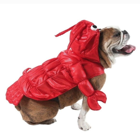 Lobster Costume Pet Size Small Dog (10-20 lbs) Halloween Vibrant Li… - Picture 4 of 8